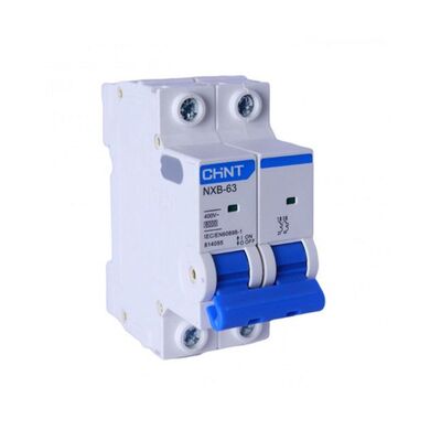 MCB Chint NXB 63 1A 6KA 2P
